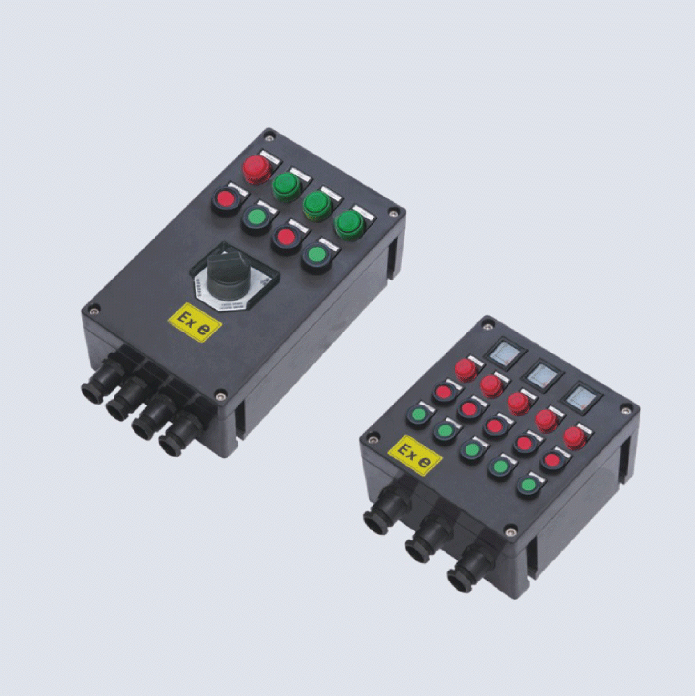 BXK8050-系列防爆防腐控制箱(IIC、 ExtD)