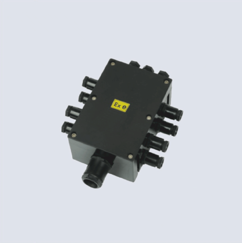 BJX8050系列防爆防腐接線箱(II C、 ExtD)