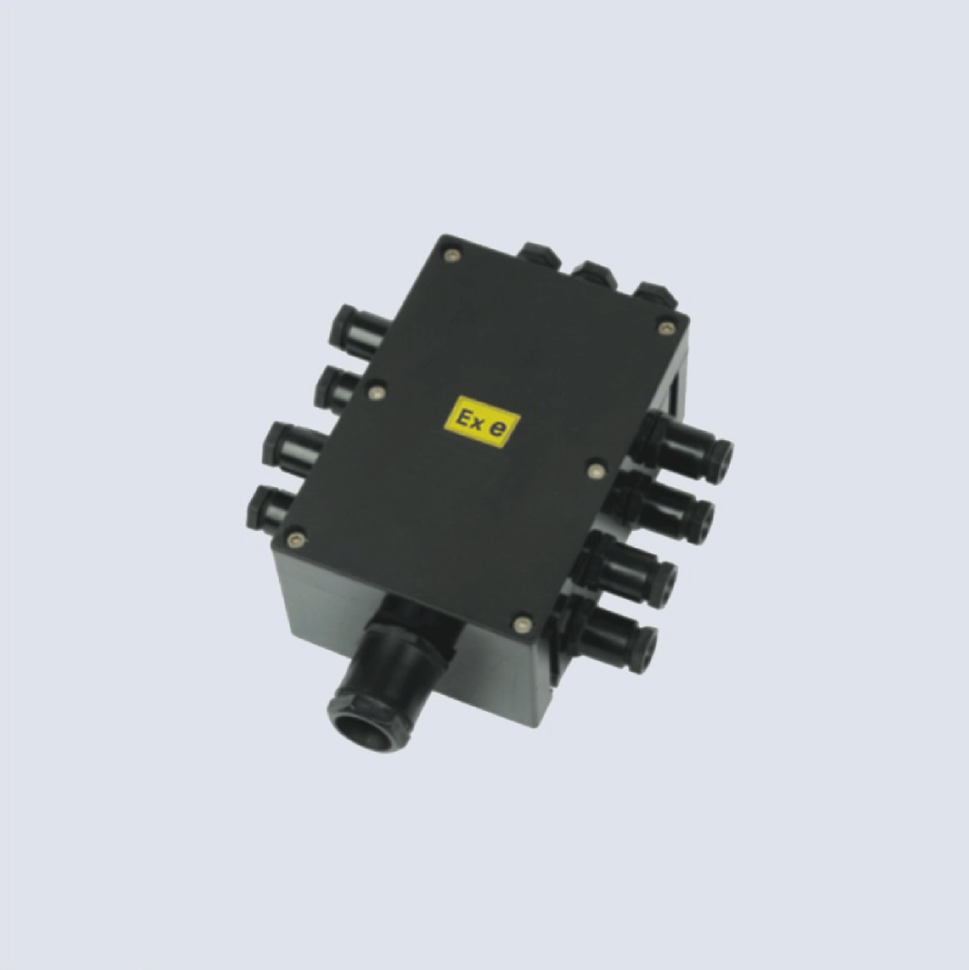 BJX8050系列防爆防腐接線箱(II C、 ExtD)